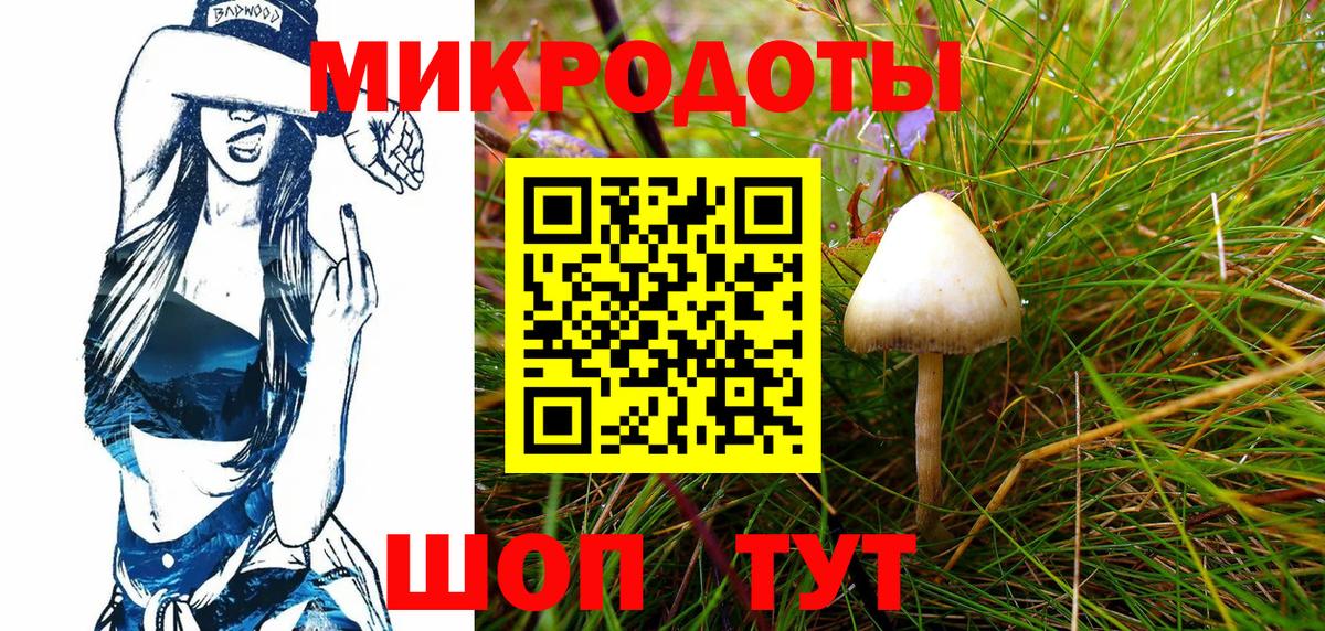 Острогожск  Псилоцибиновые грибы Cubensis  Вход с VPN 