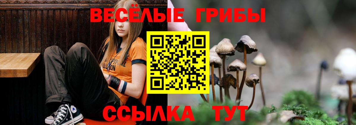 A PVP Острогожск